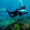 Подводный электроскутер MANTA желтый
