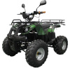 Квадроцикл GreenCamel Atakama T400 (60V 1500W R8 Дифференциал) пониженная