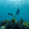 Подводный электроскутер MANTA желтый