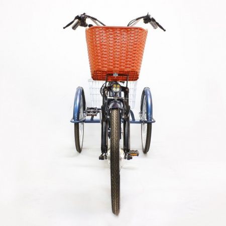 Электровелосипед GreenCamel Трайк-24 (R24 500W 48V 10Ah) синий