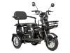 Трицикл Rutrike Пилот 