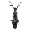 Электроскутер SkyBoard Baikal  BR50-3000 PRO MAX красный