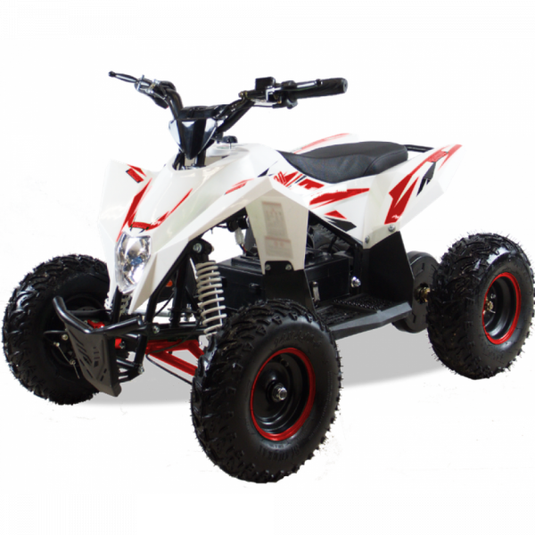 Квадроцикл - снегоцикл  2в1  GEKKON 90cc SNOW MAX Бензиновый